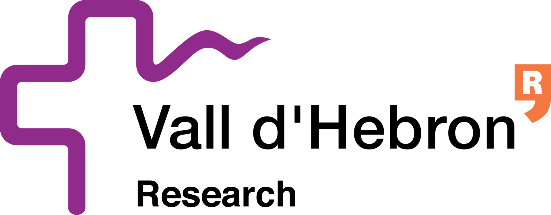 VHrecerca_eng_Digital