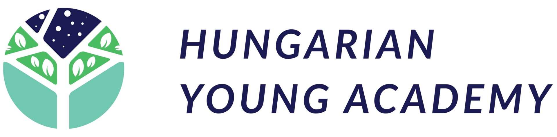 Hungarian-Young-Academy_logo_ENG